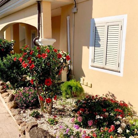 Casa Dolce Hibiscus Apartment Olbia Ngoại thất bức ảnh